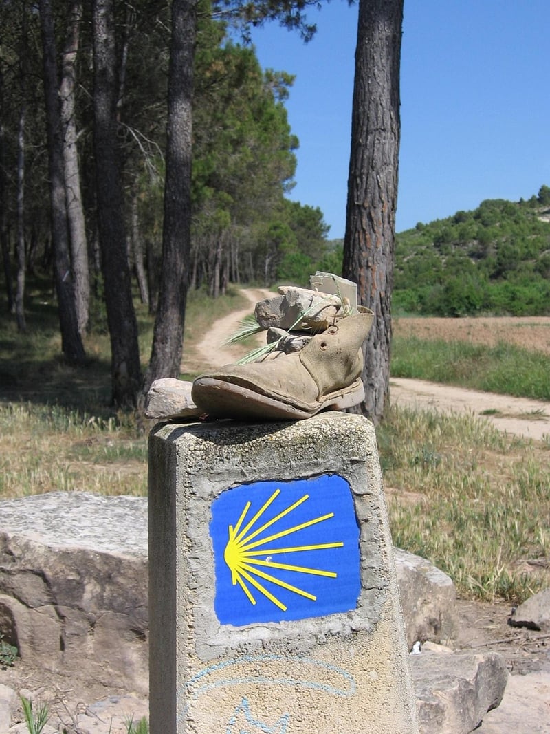 Hiking Boots